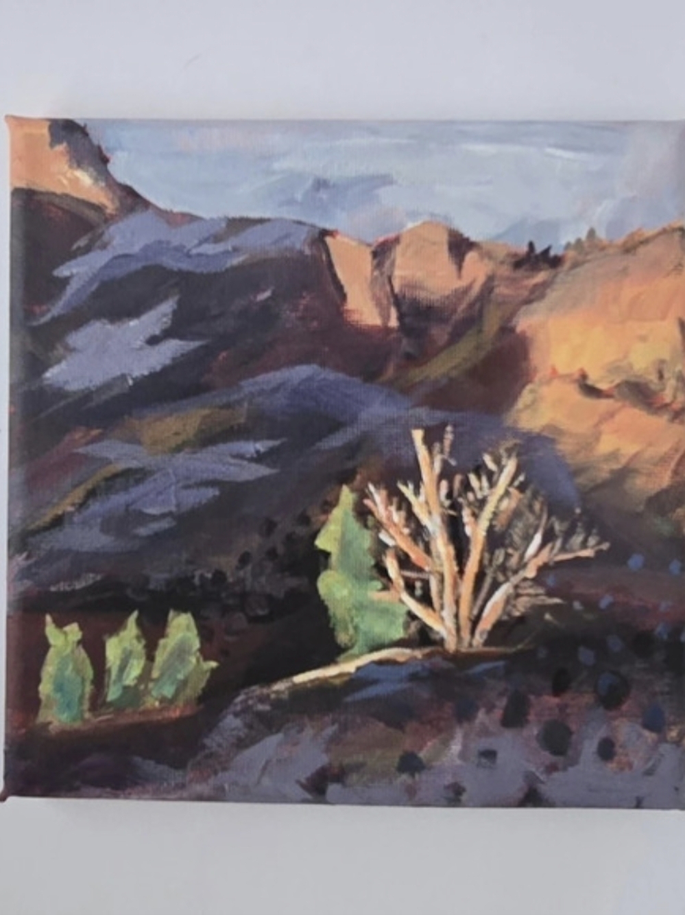 Golden Hour Mountain Landscape- Original Art